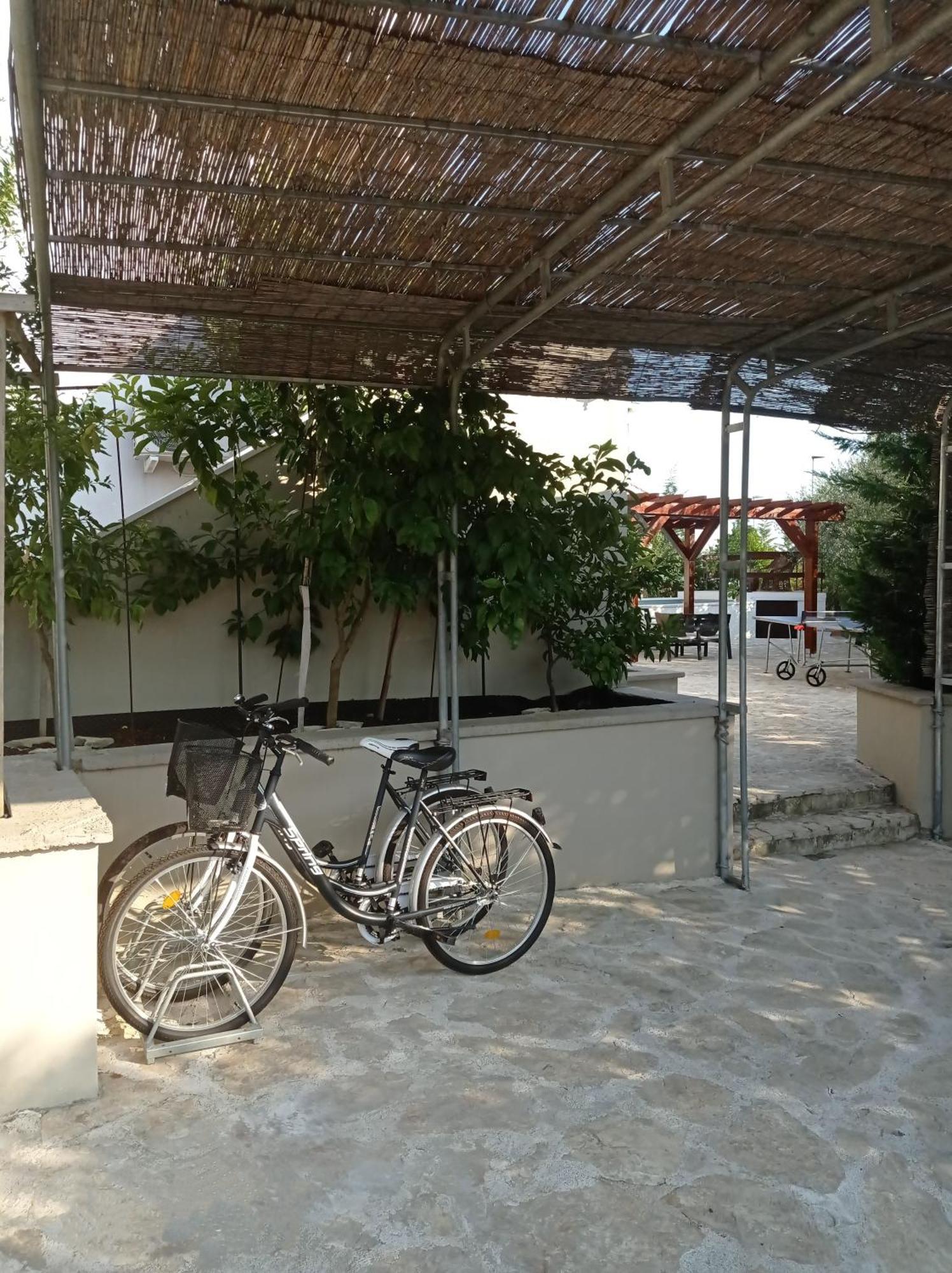Villa Niko With Private Swimming Pool Zadar Bagian luar foto